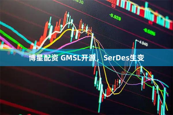 博星配资 GMSL开源，SerDes生变
