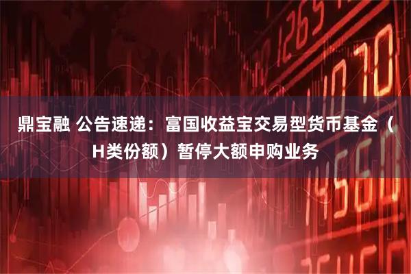 鼎宝融 公告速递：富国收益宝交易型货币基金（H类份额）暂停大额申购业务