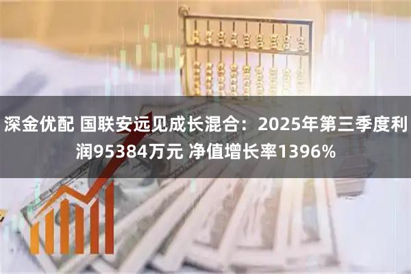 深金优配 国联安远见成长混合：2025年第三季度利润95384万元 净值增长率1396%